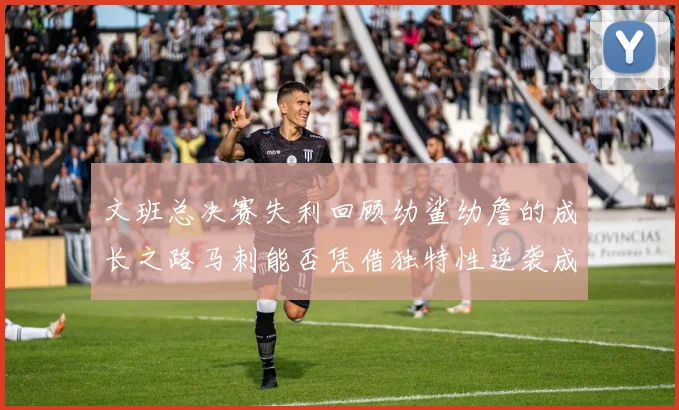 文班总决赛失利回顾幼鲨幼詹的成长之路马刺能否凭借独特性逆袭成功